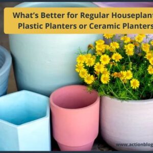 plastic-planters-vs-ceramic-planters